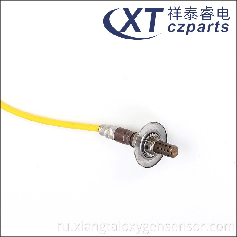 Oxygen Sensor